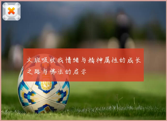 文班吸收我情绪与精神属性的成长之路与佛法的启示